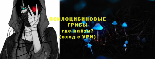 дживик Михайловск