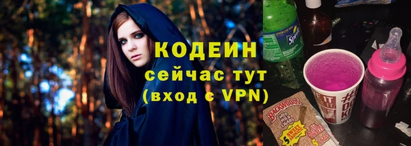 хмурый Арсеньев