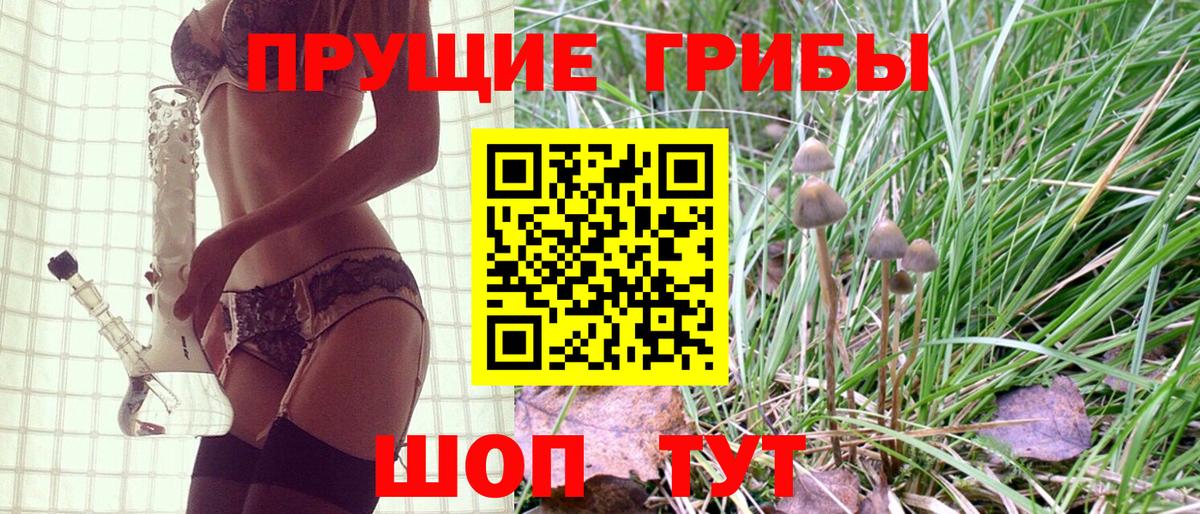Галлюциногенные грибы мицелий  Вход с VPN  Железноводск 