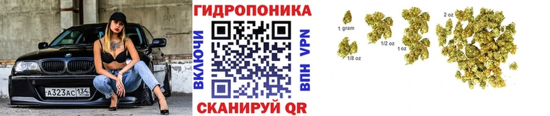Марихуана план  Железноводск 